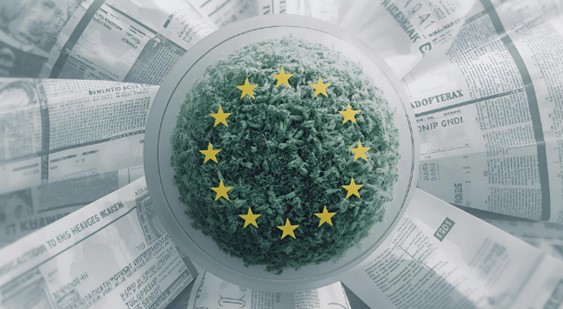 Navigating the CSRD and ESRS: A Practical Guide for Businesses